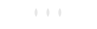 8020 Consulting_White