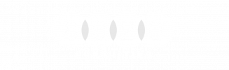 8020 Consulting_White