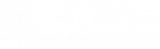 SpyCloud_White